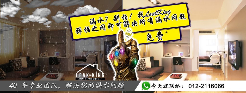 LeakKing 治漏王